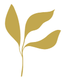 Leaf Icon